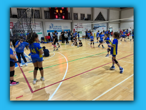 Volley_S3_22.03.26  (7).jpg